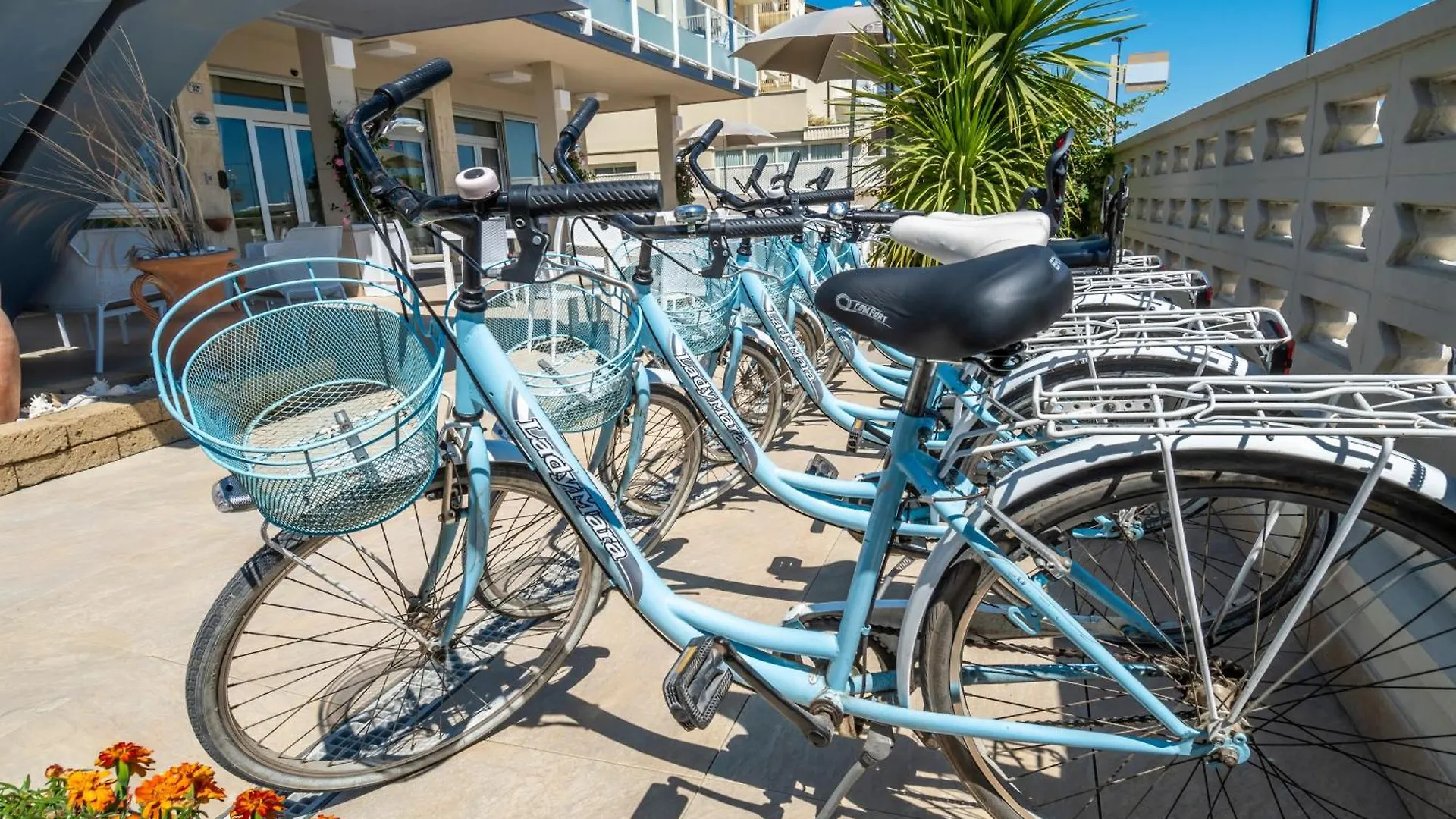 ***  Hotel Astoria Cervia Италия